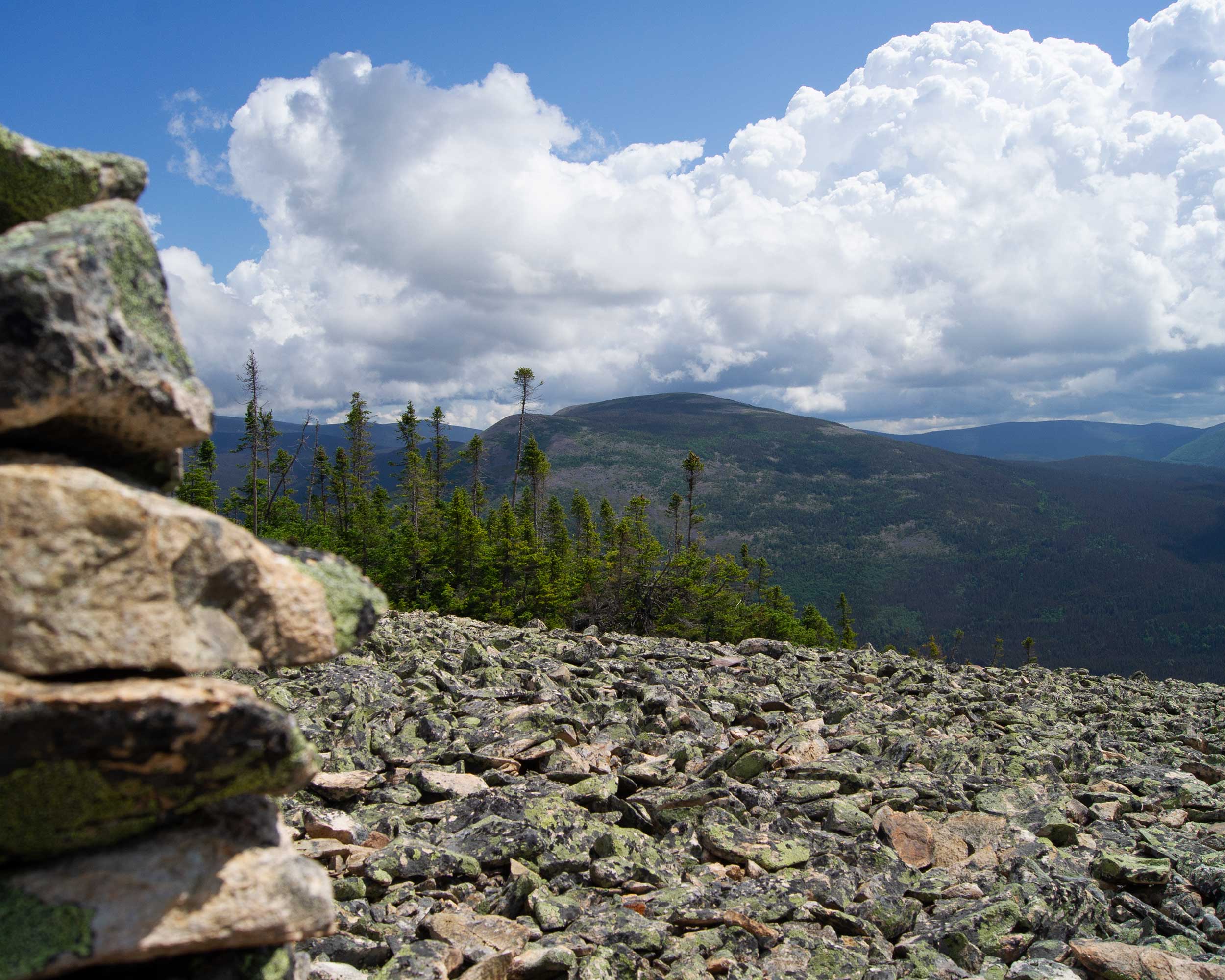 vue des montagnes avec des roches et des sapins