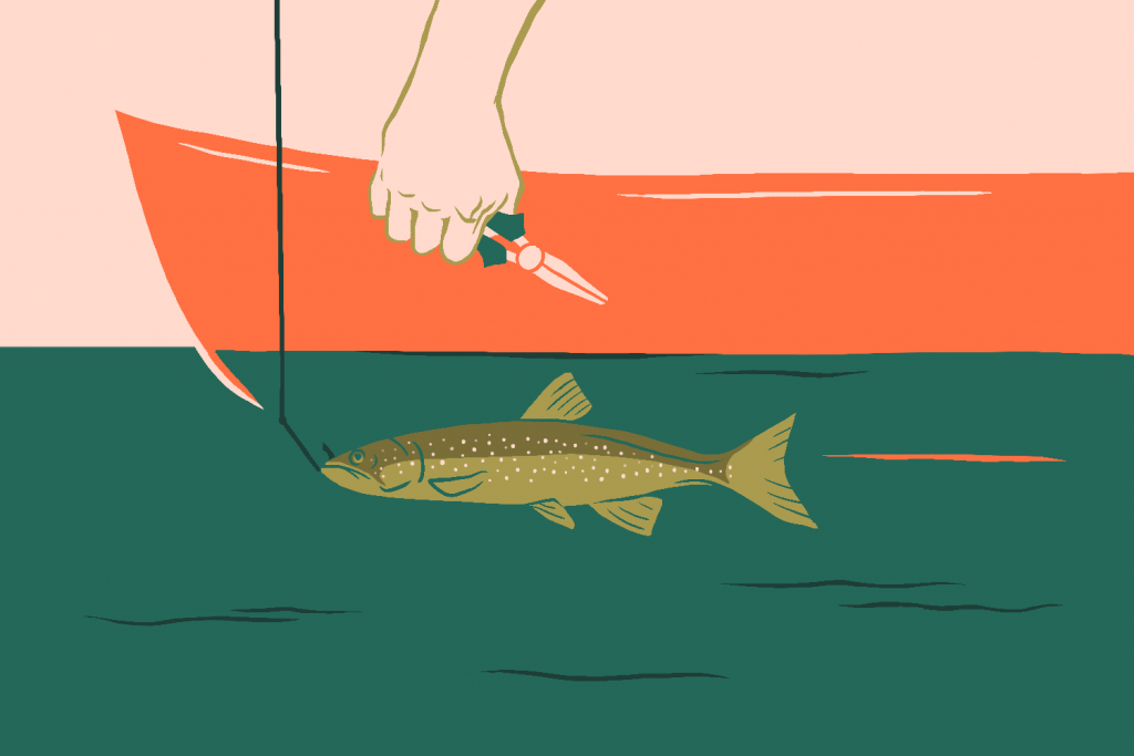 How to Fish Responsibly